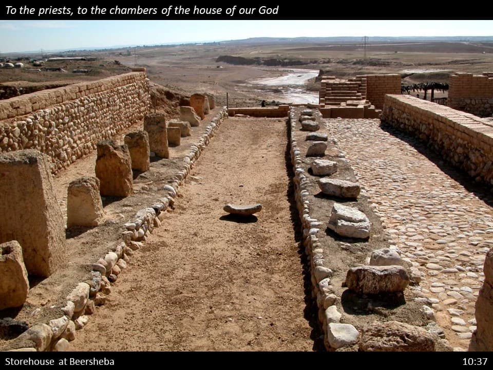 Nehemiah 10 (222)