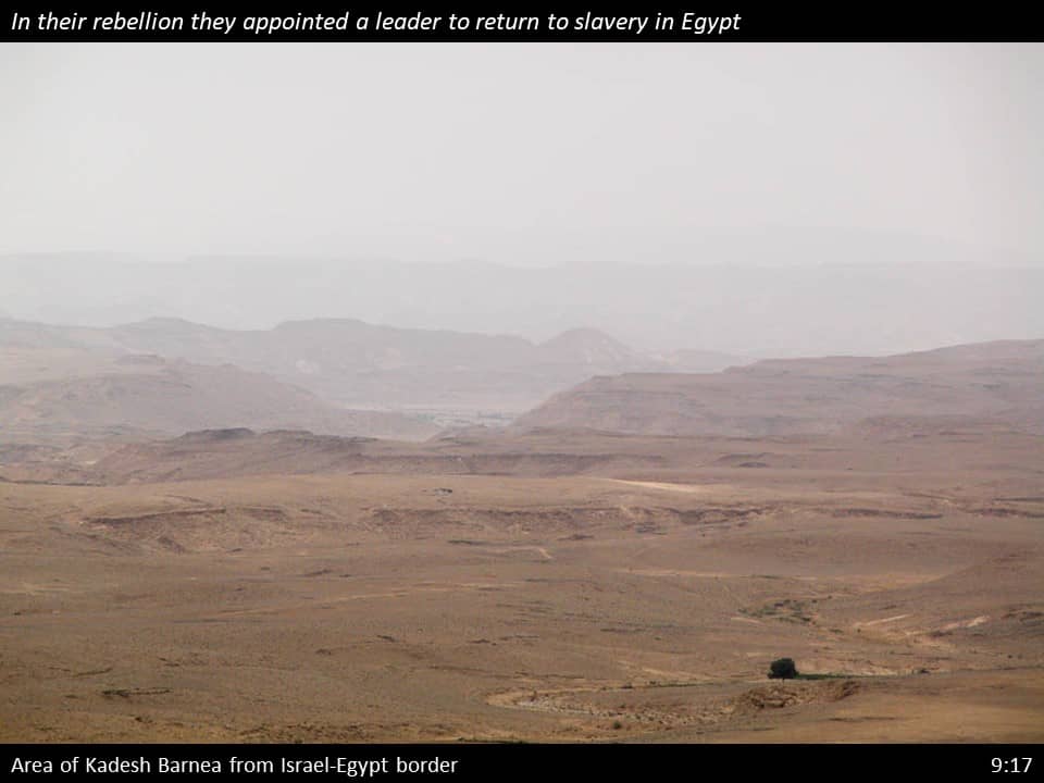 Nehemiah 9 (124)