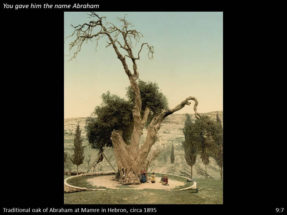 Nehemiah 9 (77)